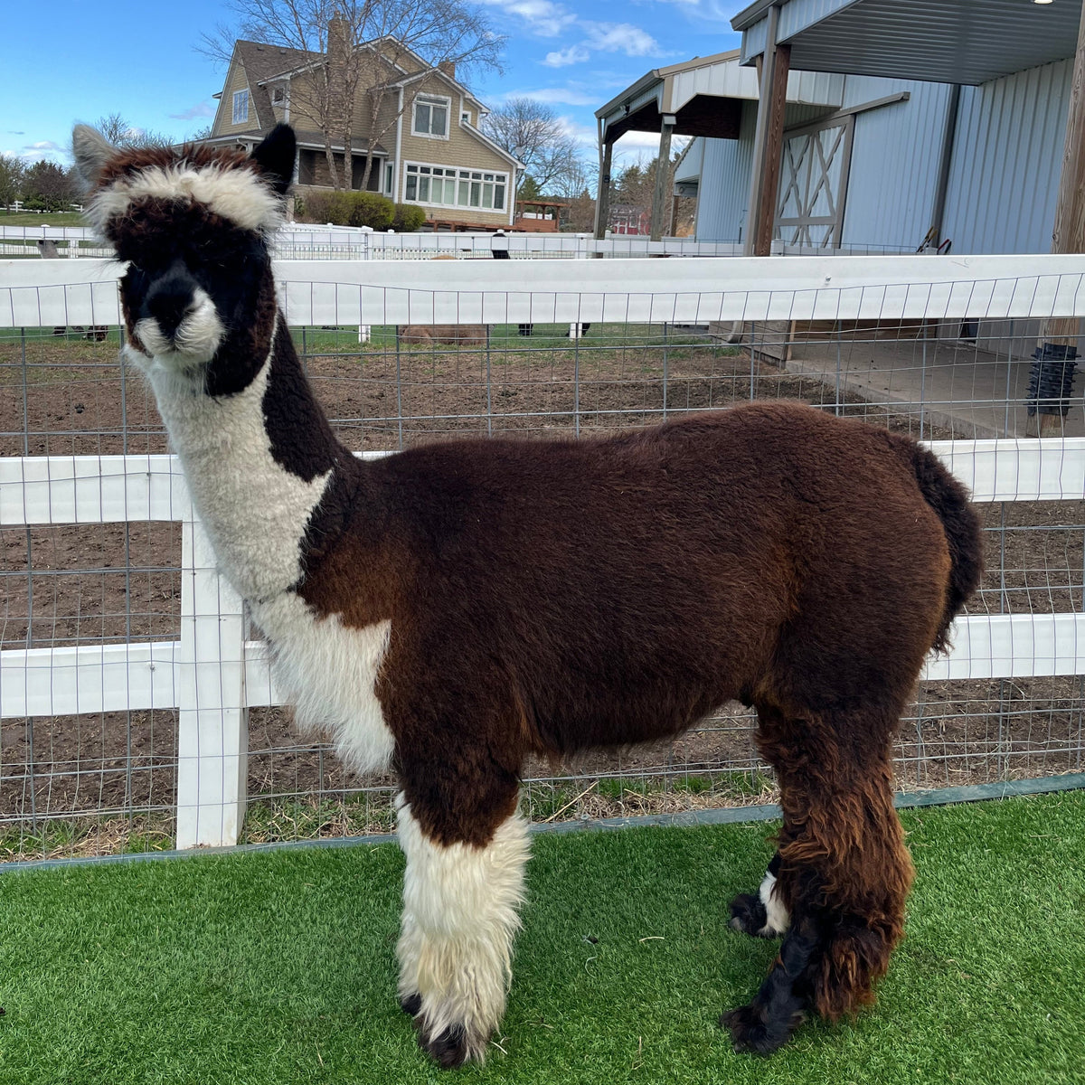 The Importance of Quarantine Practices at Eagle Eye Farm