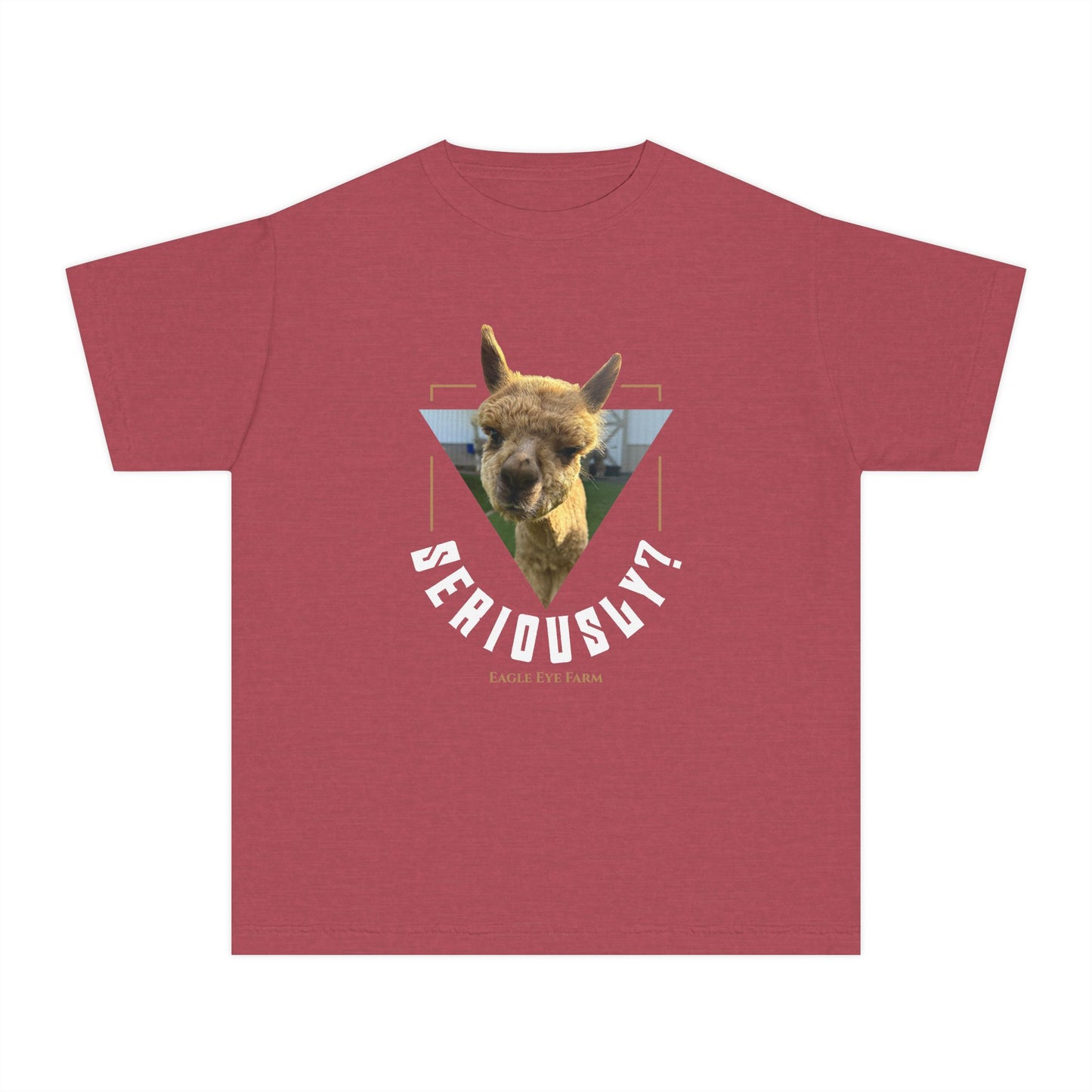 Seriously? Youth Tee