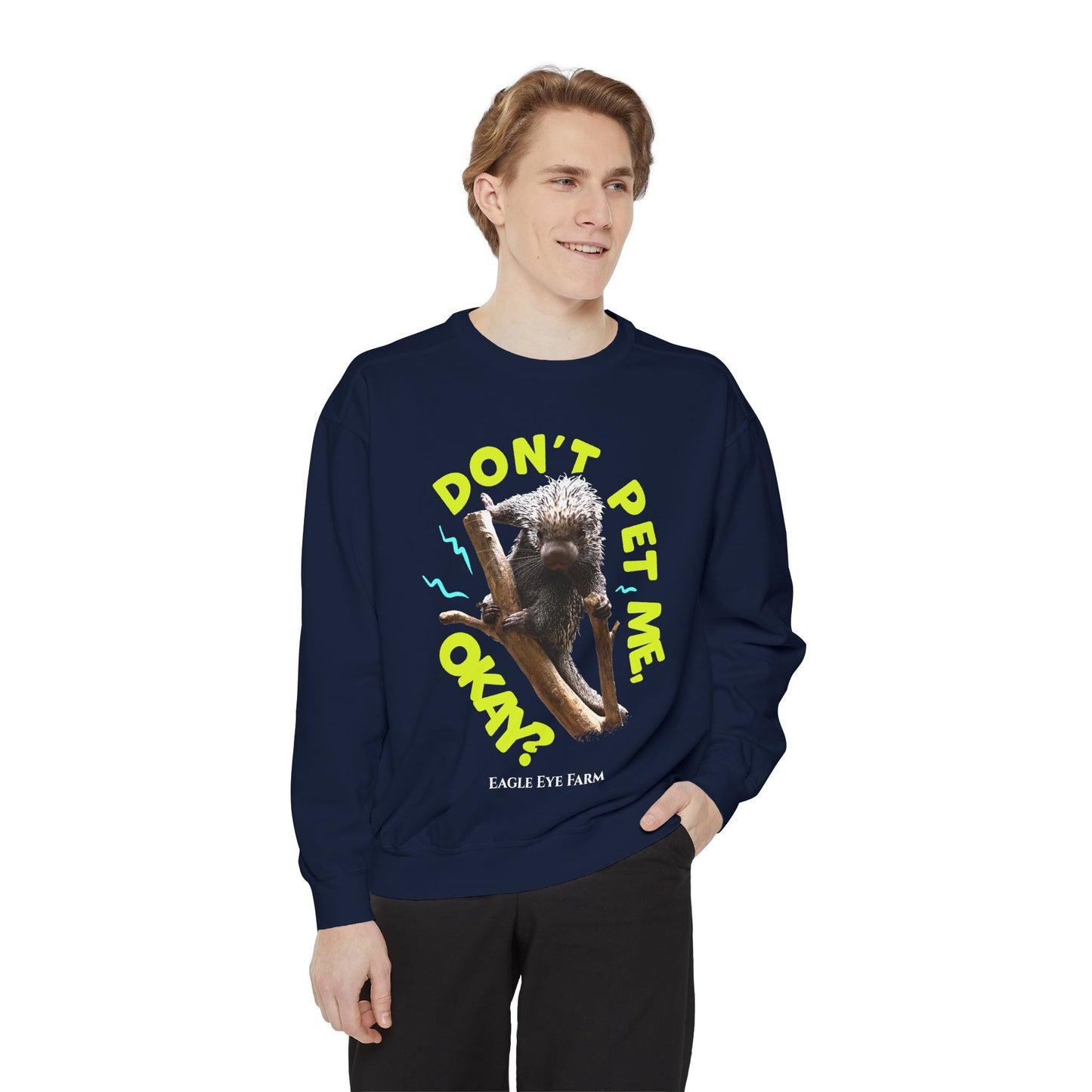Don't Pet Me  Sweatshirt