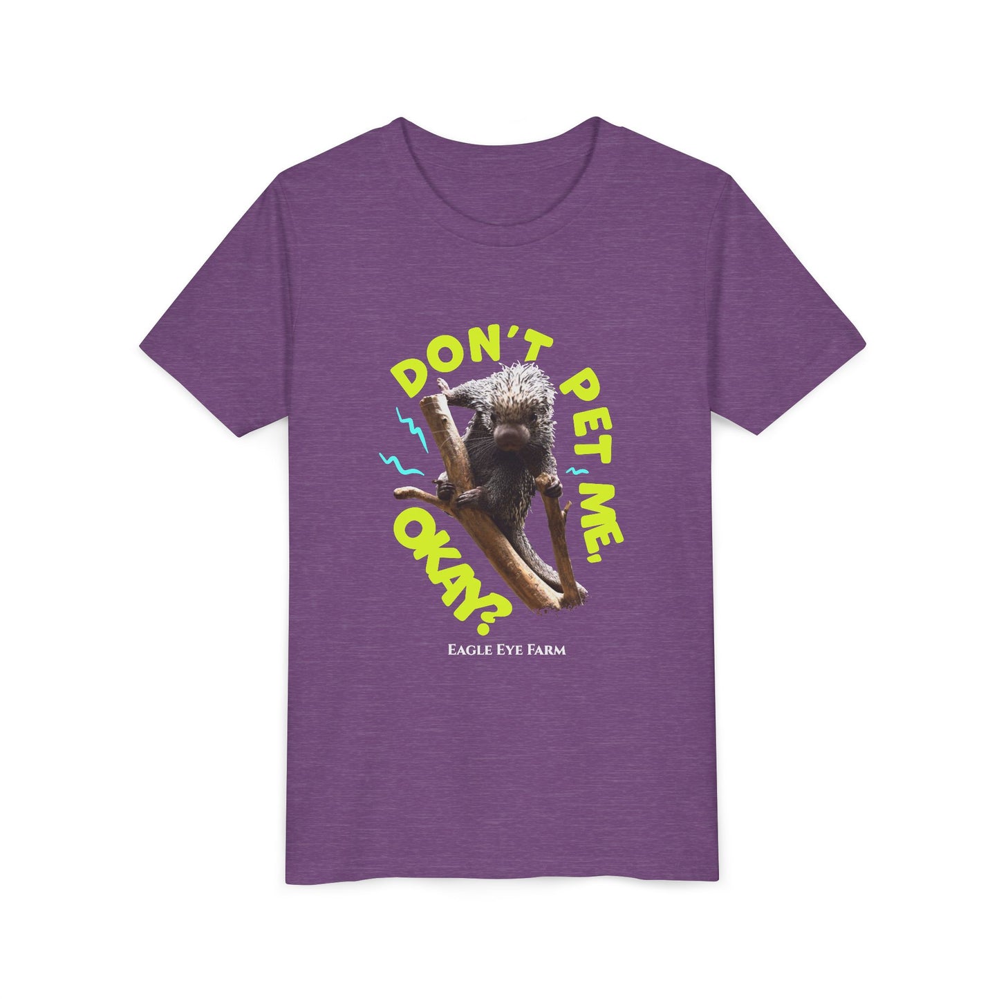 Don't Pet Me Youth Tee