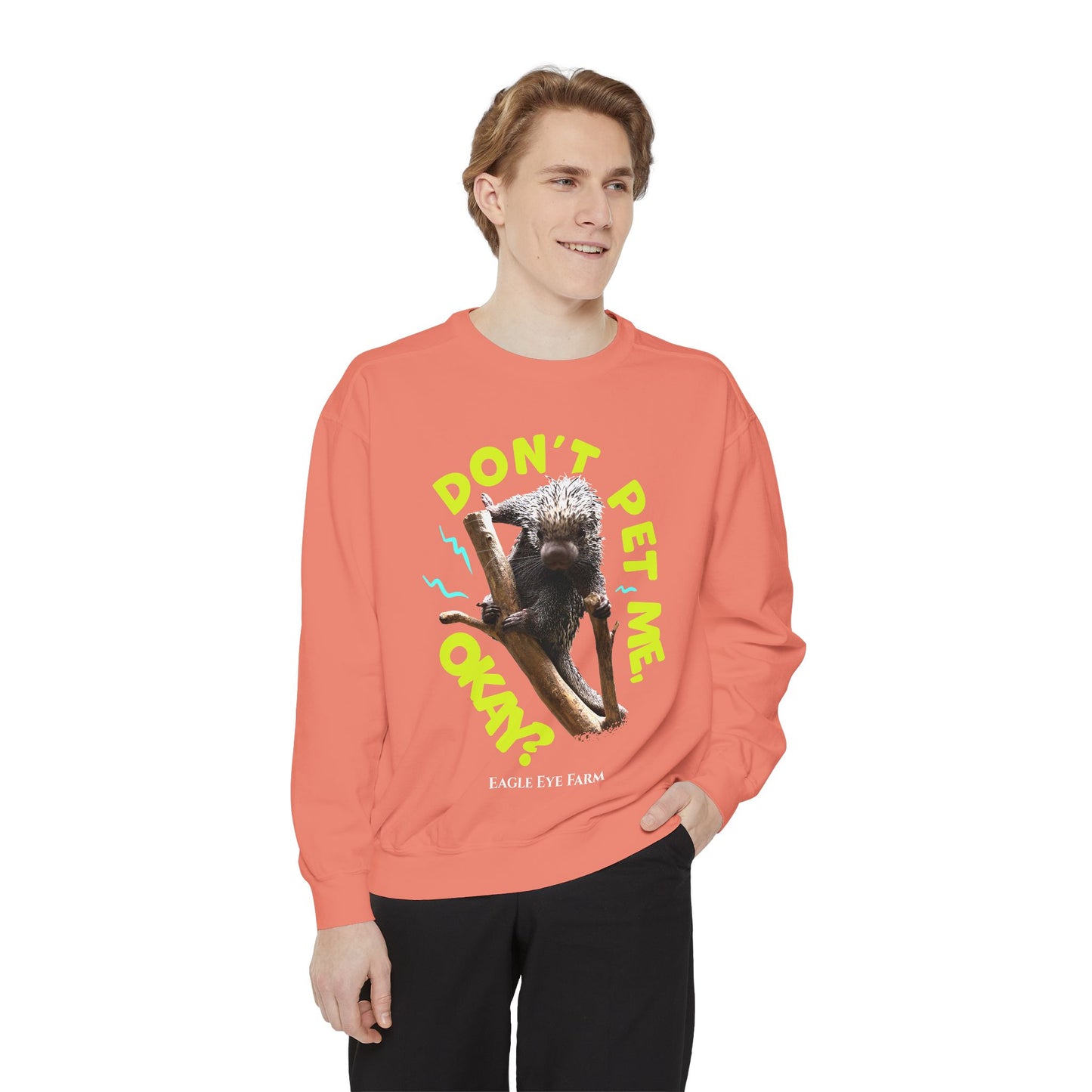 Don't Pet Me  Sweatshirt