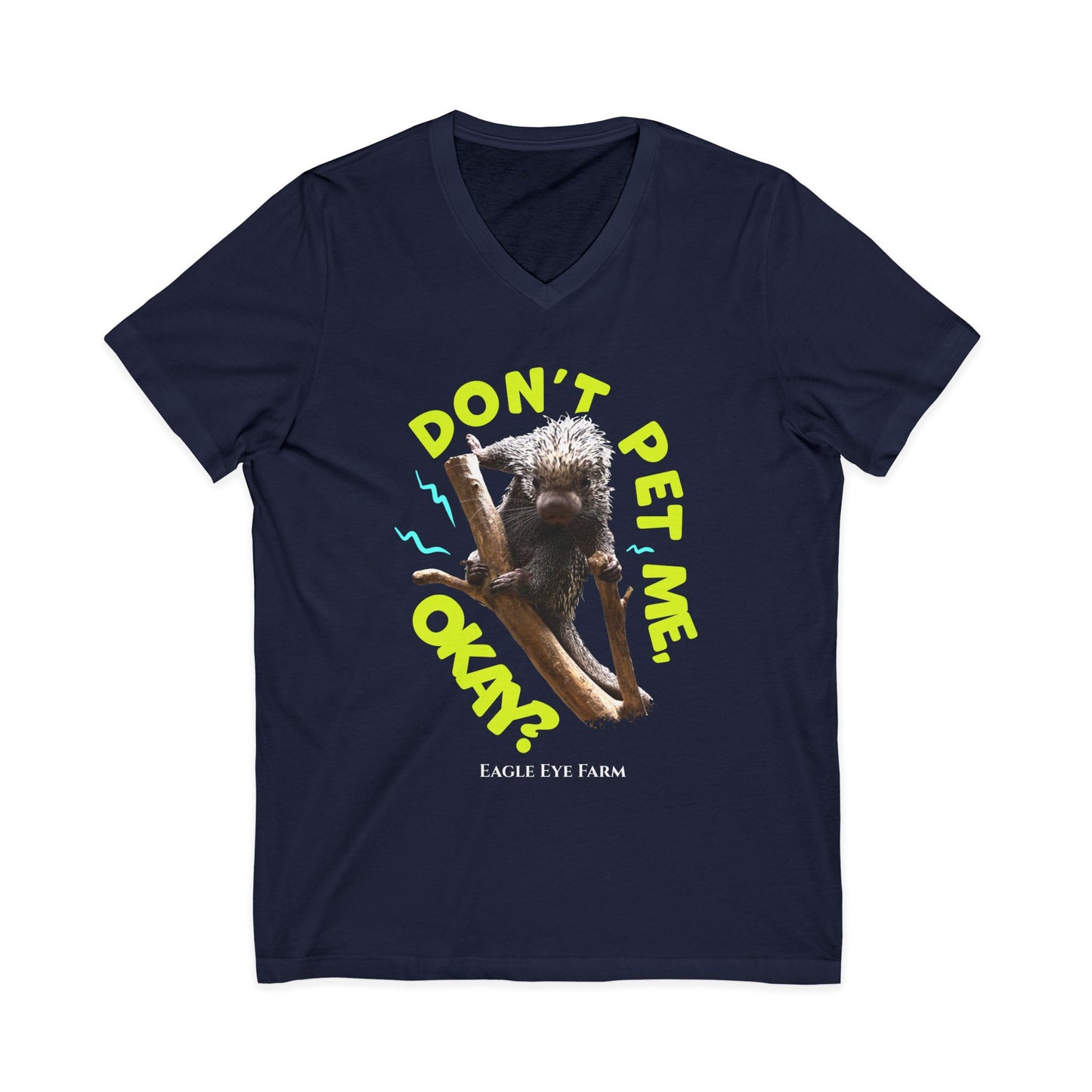 Don't Pet Me  V-Neck Tee
