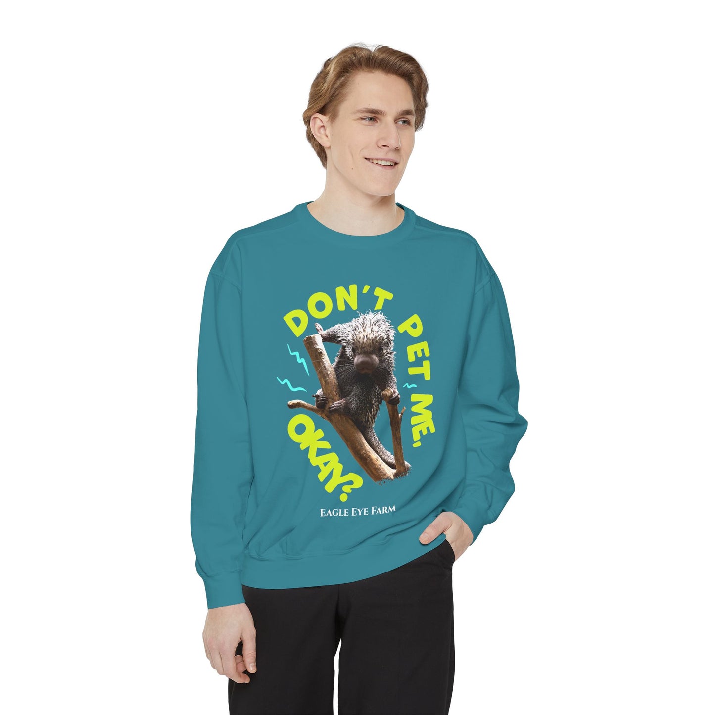 Don't Pet Me  Sweatshirt