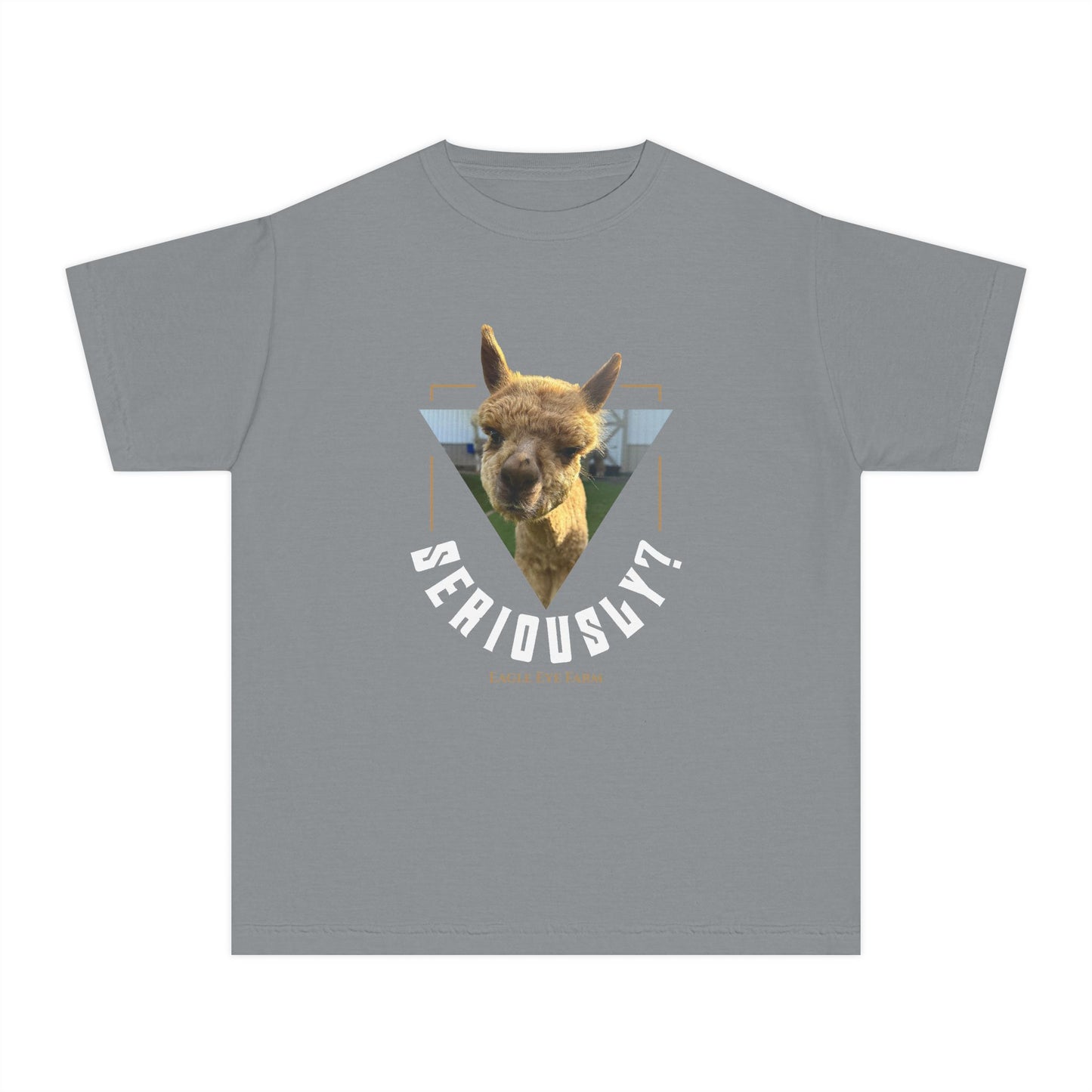 Seriously? Youth Tee