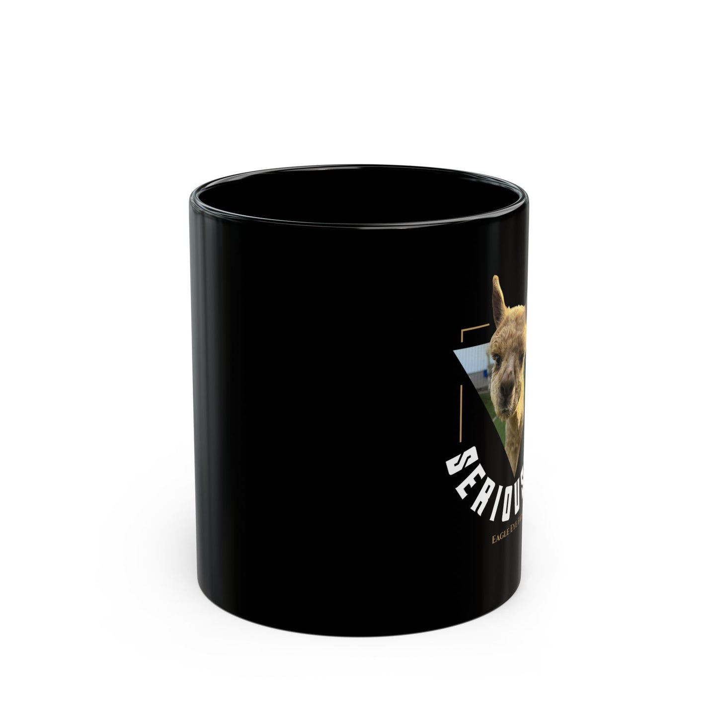 Seriously? Black Mug