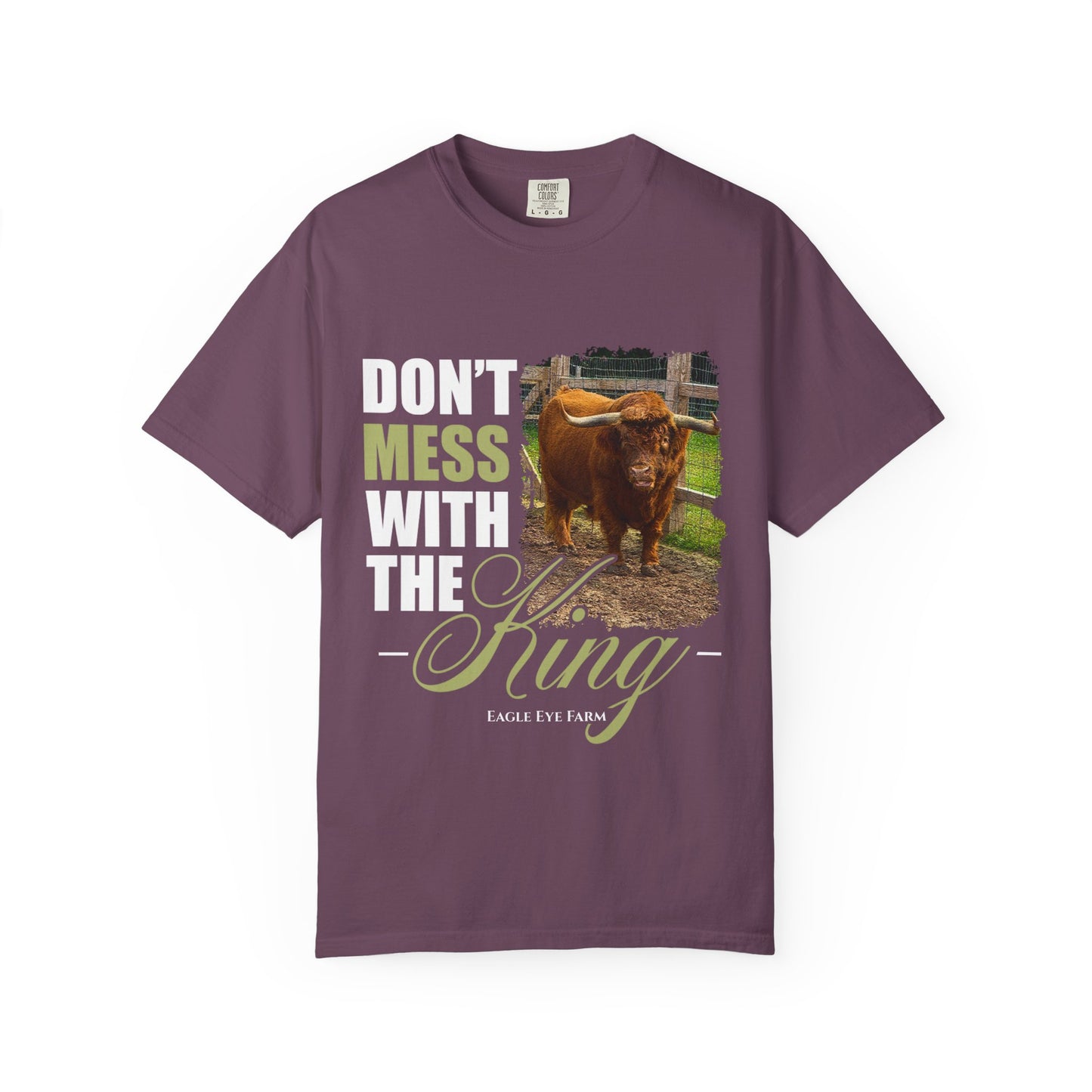 Barney T-shirt