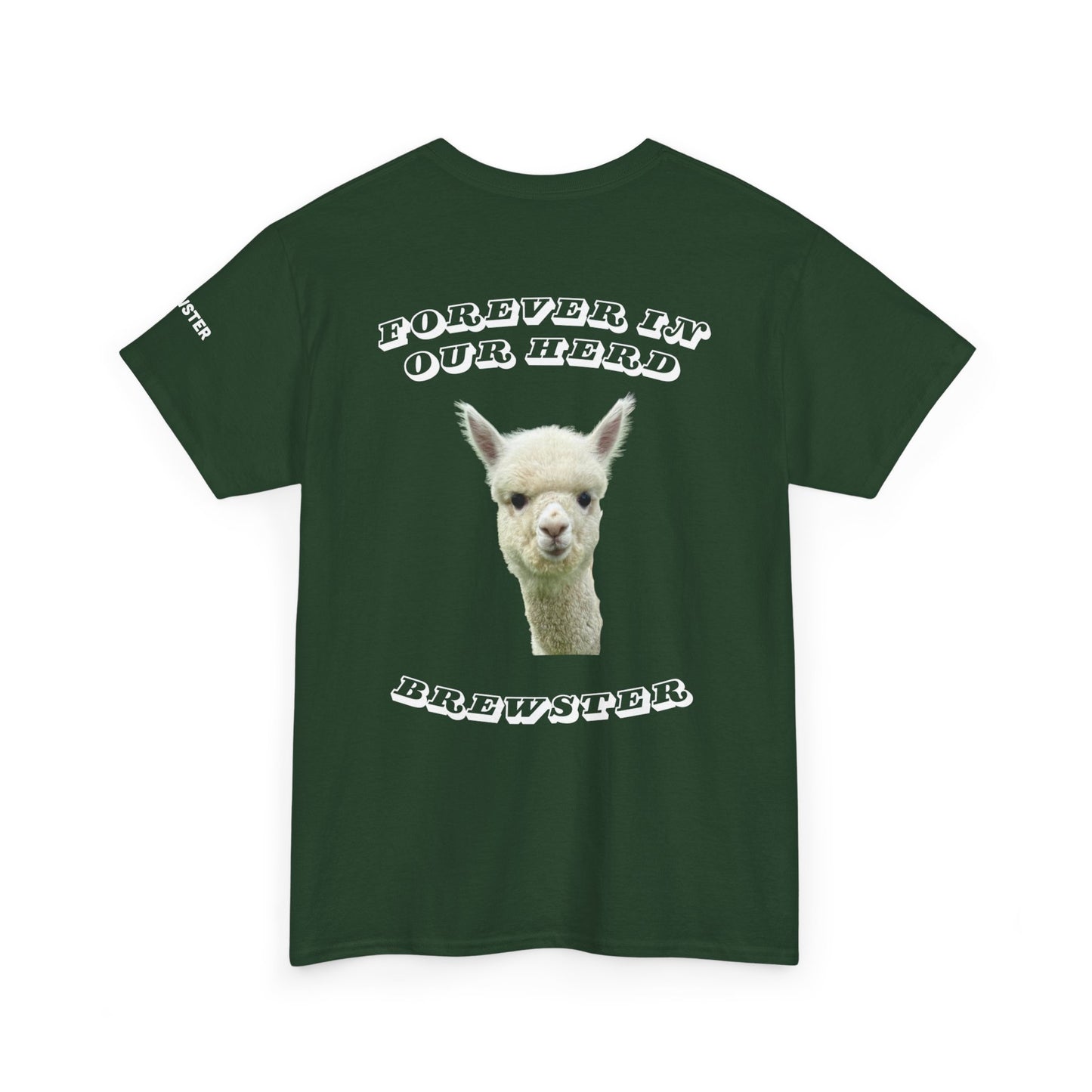 Brewster Memory Green Cotton Tee