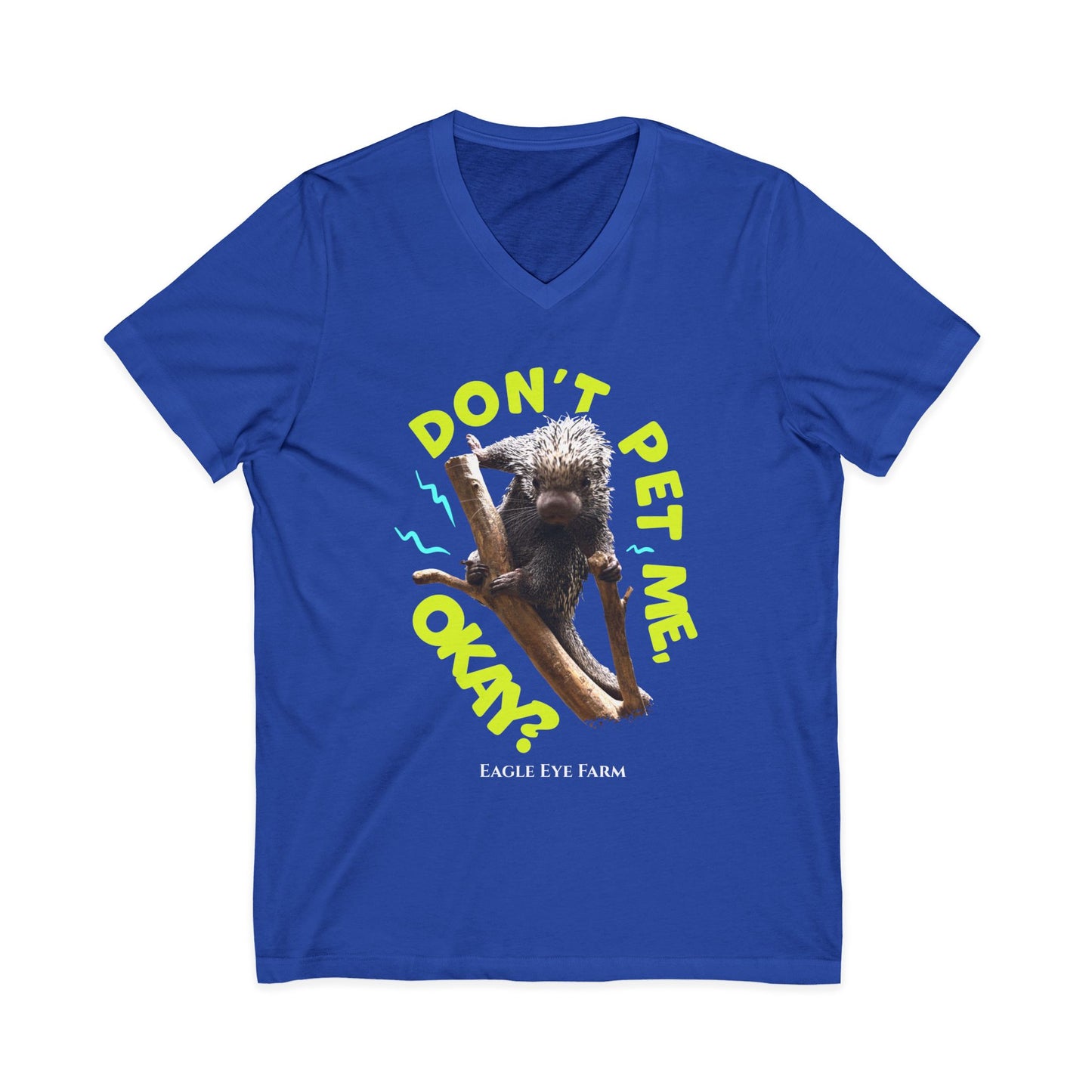 Don't Pet Me  V-Neck Tee