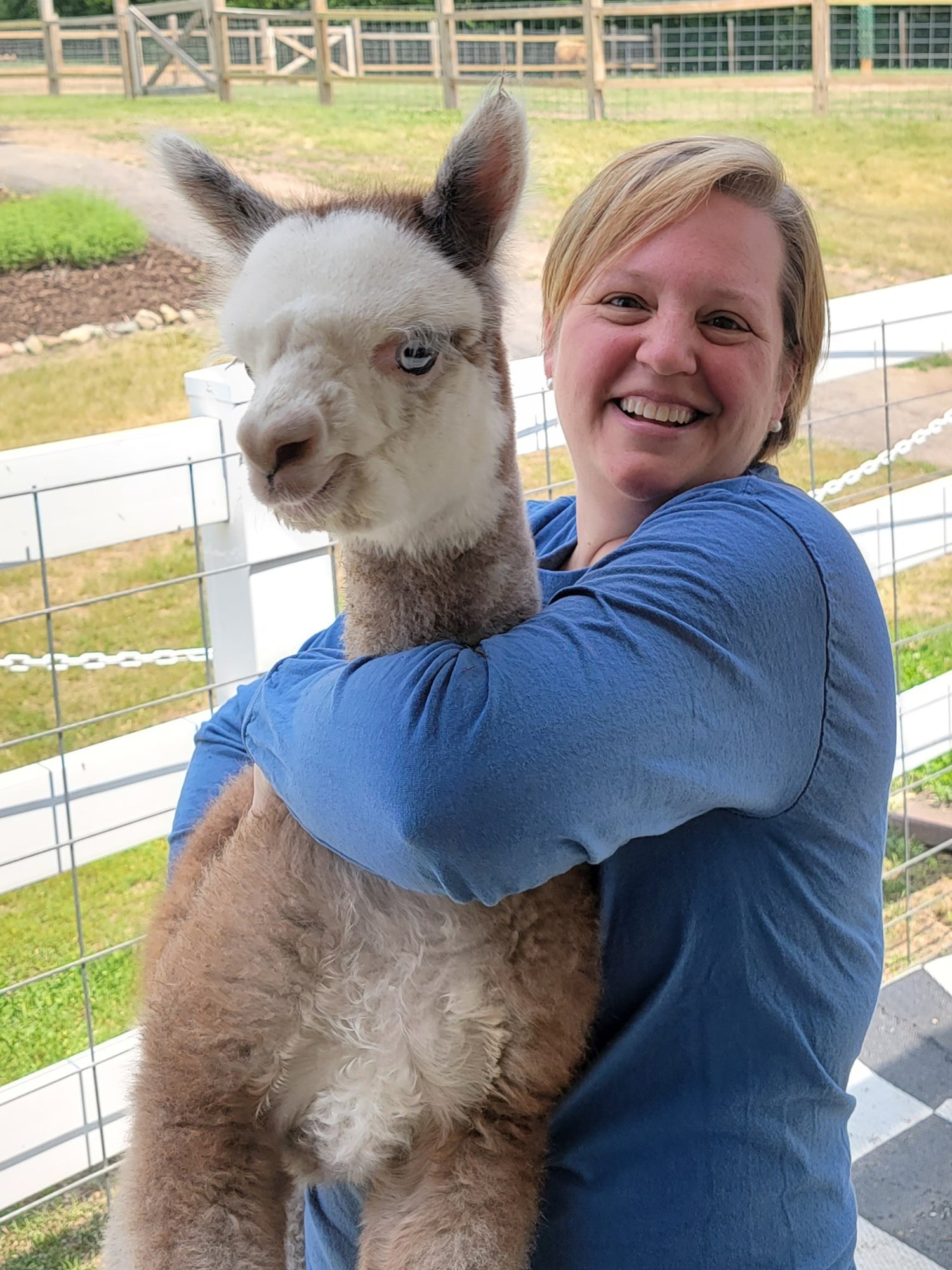 Lady hugging alpaca
