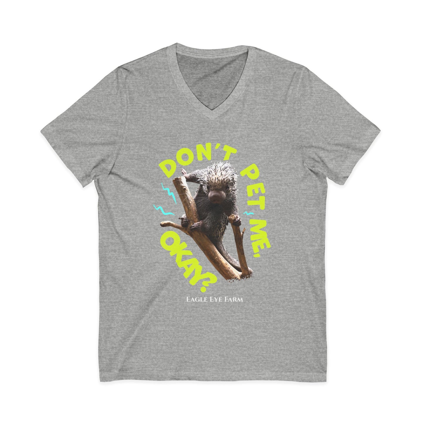 Don't Pet Me  V-Neck Tee