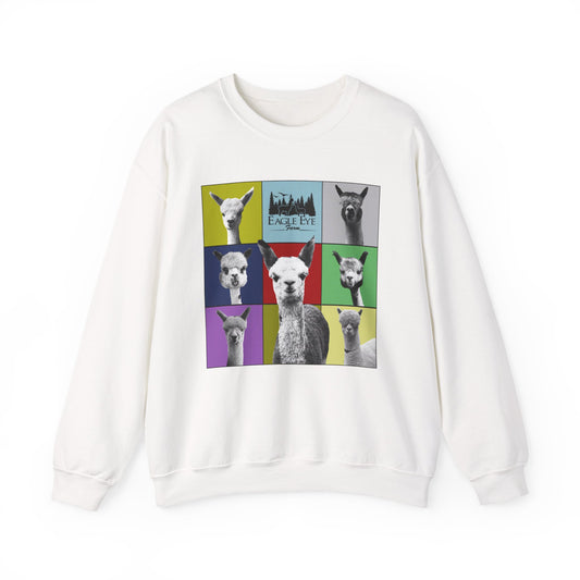 Colorful Crewneck Sweatshirt
