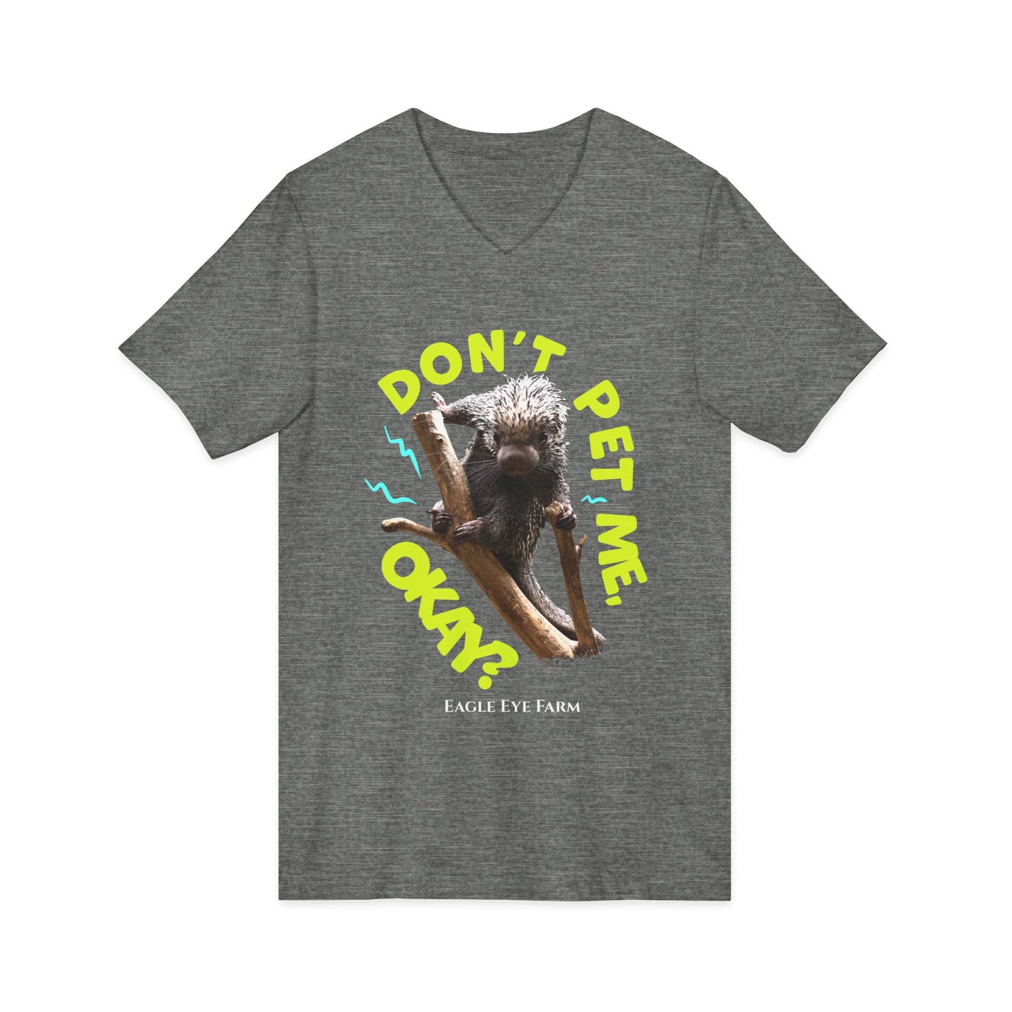 Don't Pet Me  V-Neck Tee