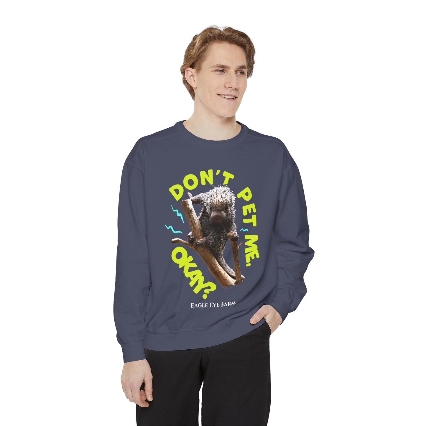 Don't Pet Me  Sweatshirt