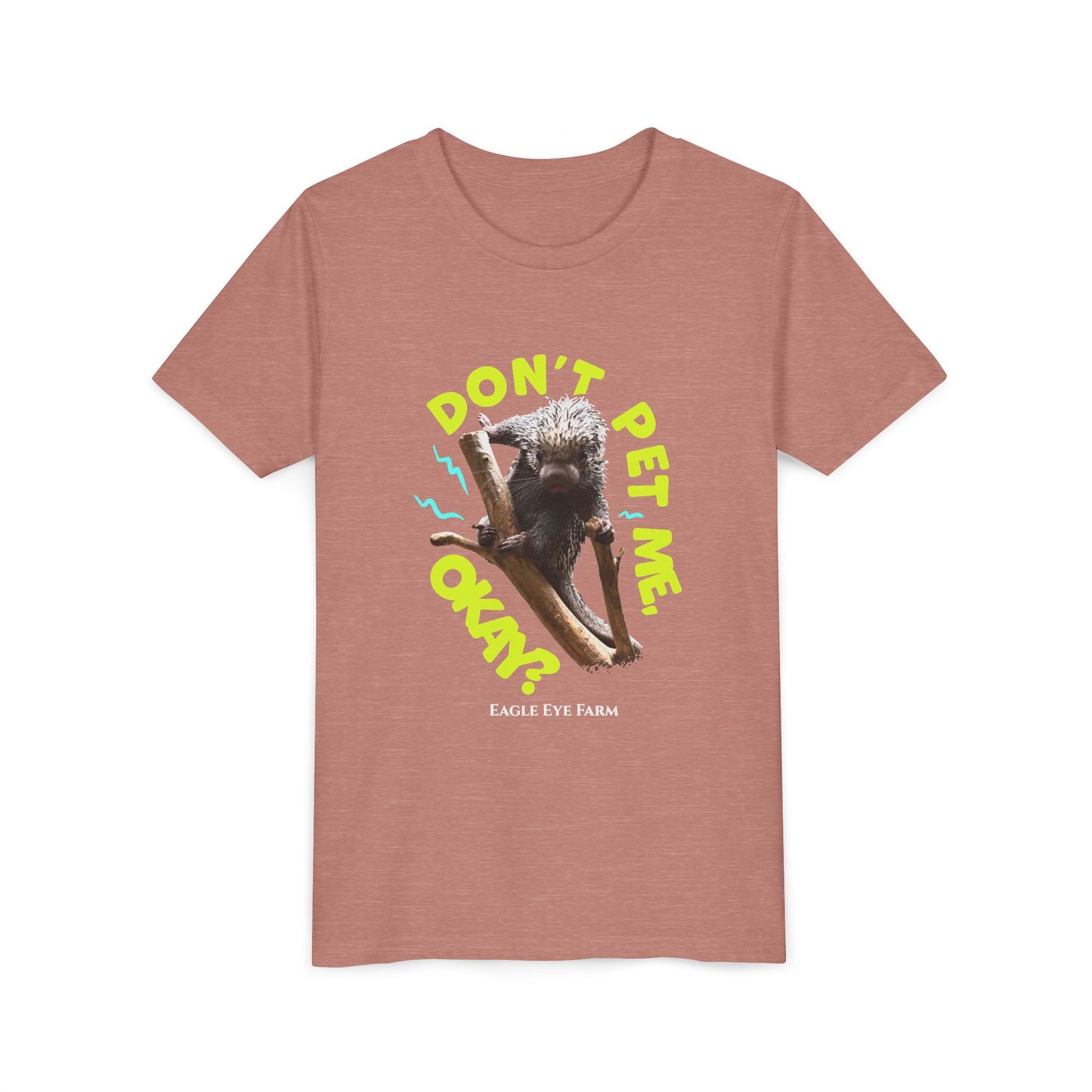 Don't Pet Me Youth Tee