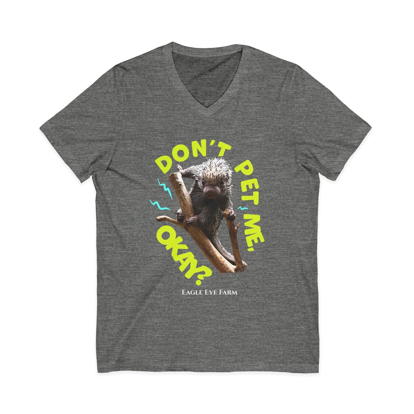 Don't Pet Me  V-Neck Tee