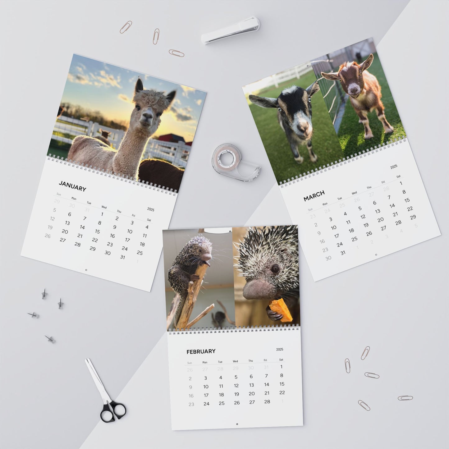 Eagle Eye Farm 2025 Calendar