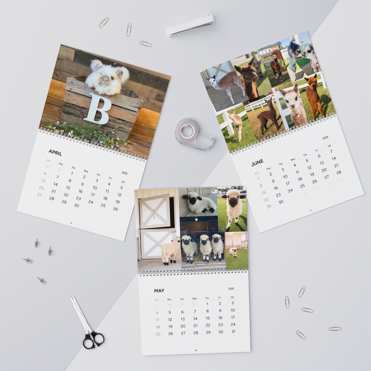 Eagle Eye Farm 2025 Calendar