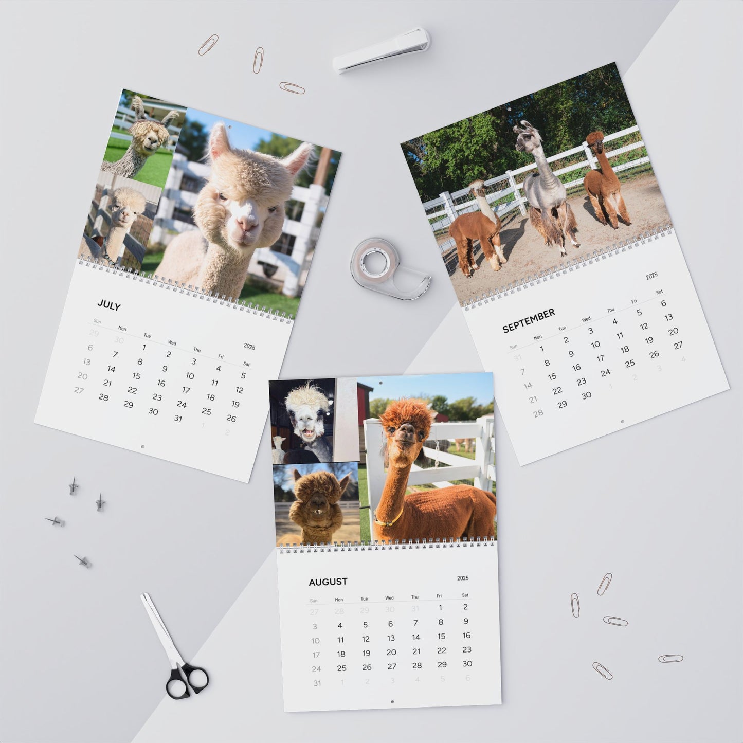 Eagle Eye Farm 2025 Calendar