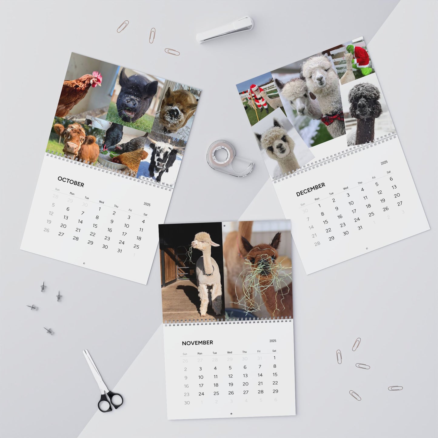 Eagle Eye Farm 2025 Calendar