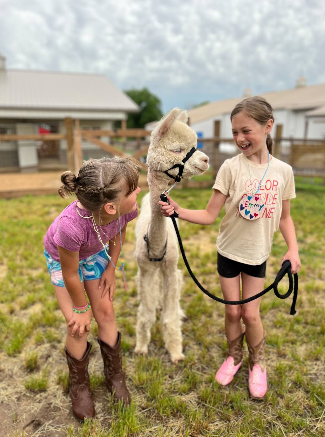 Girls with alpaca