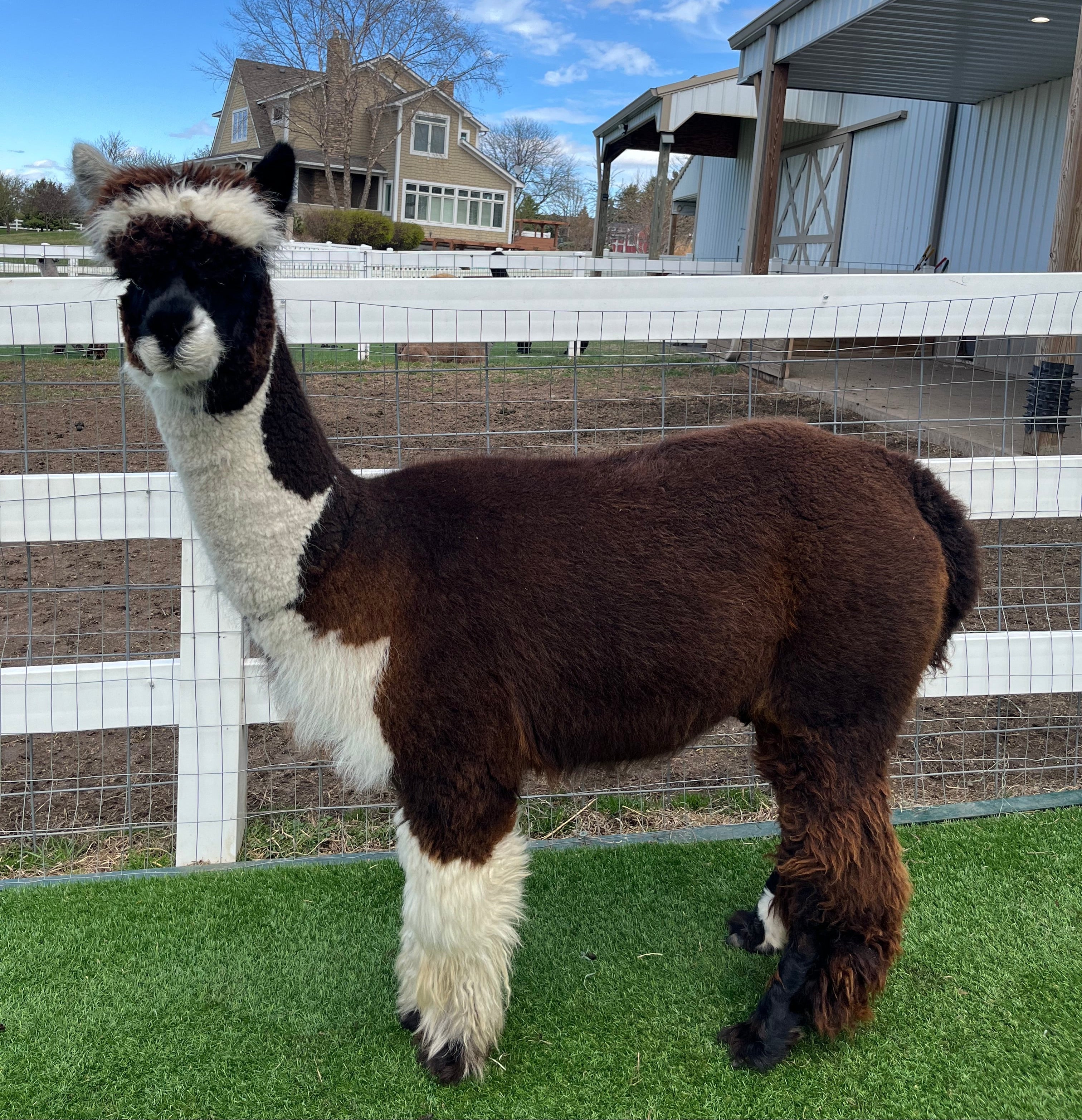 The Importance of Quarantine Practices at Eagle Eye Farm