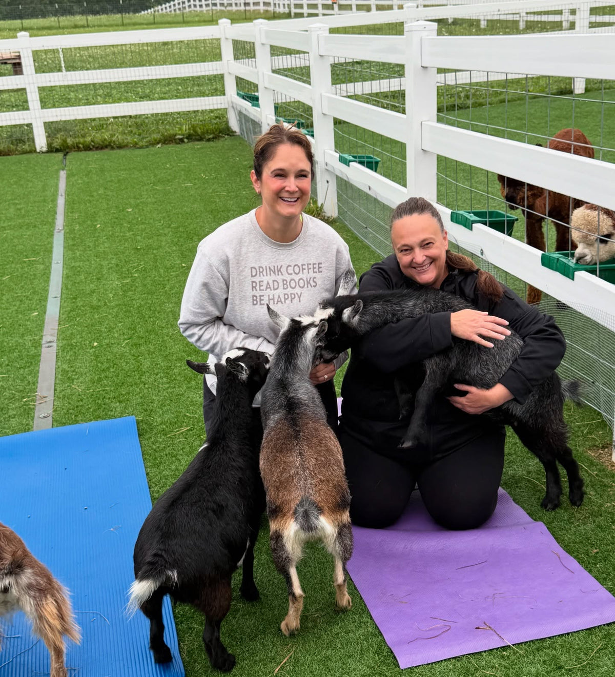 Goats at Eagle Eye Farm