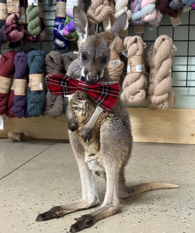 Seasonal Apparel & Accessories