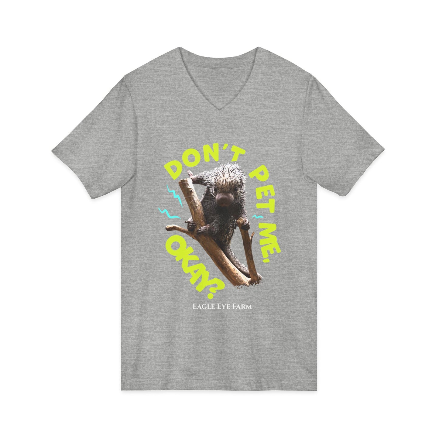 Don't Pet Me  V-Neck Tee