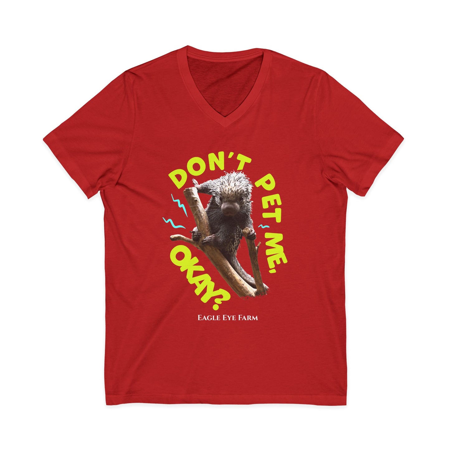 Don't Pet Me  V-Neck Tee