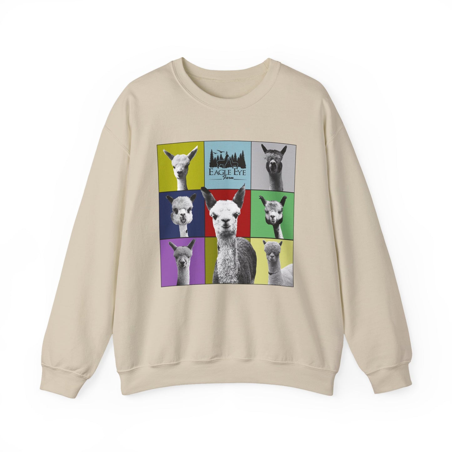 Colorful Crewneck Sweatshirt