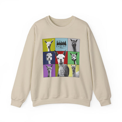 Colorful Crewneck Sweatshirt