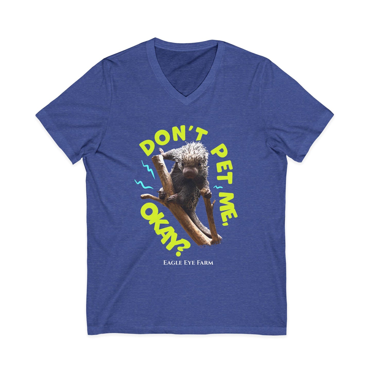 Don't Pet Me  V-Neck Tee