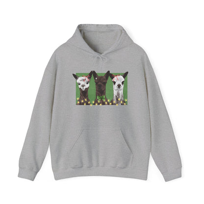 Brighten Your Day Hoodie by Eagle Eye Farm