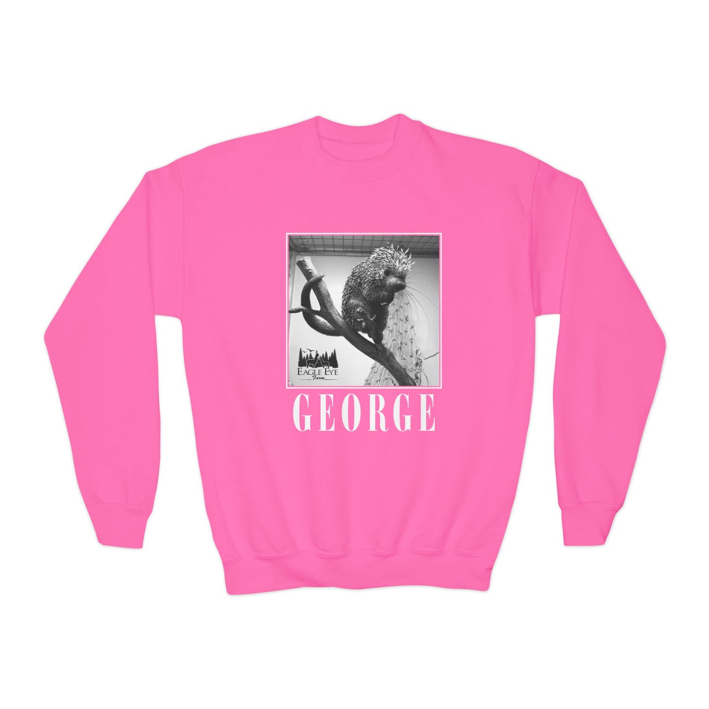 Porcupine Youth Crewneck Sweatshirt