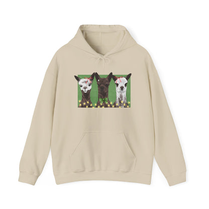 Brighten Your Day Hoodie by Eagle Eye Farm