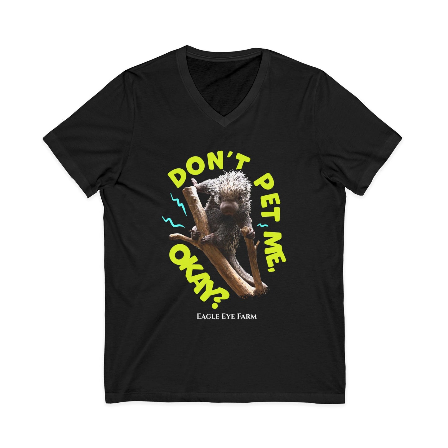 Don't Pet Me  V-Neck Tee