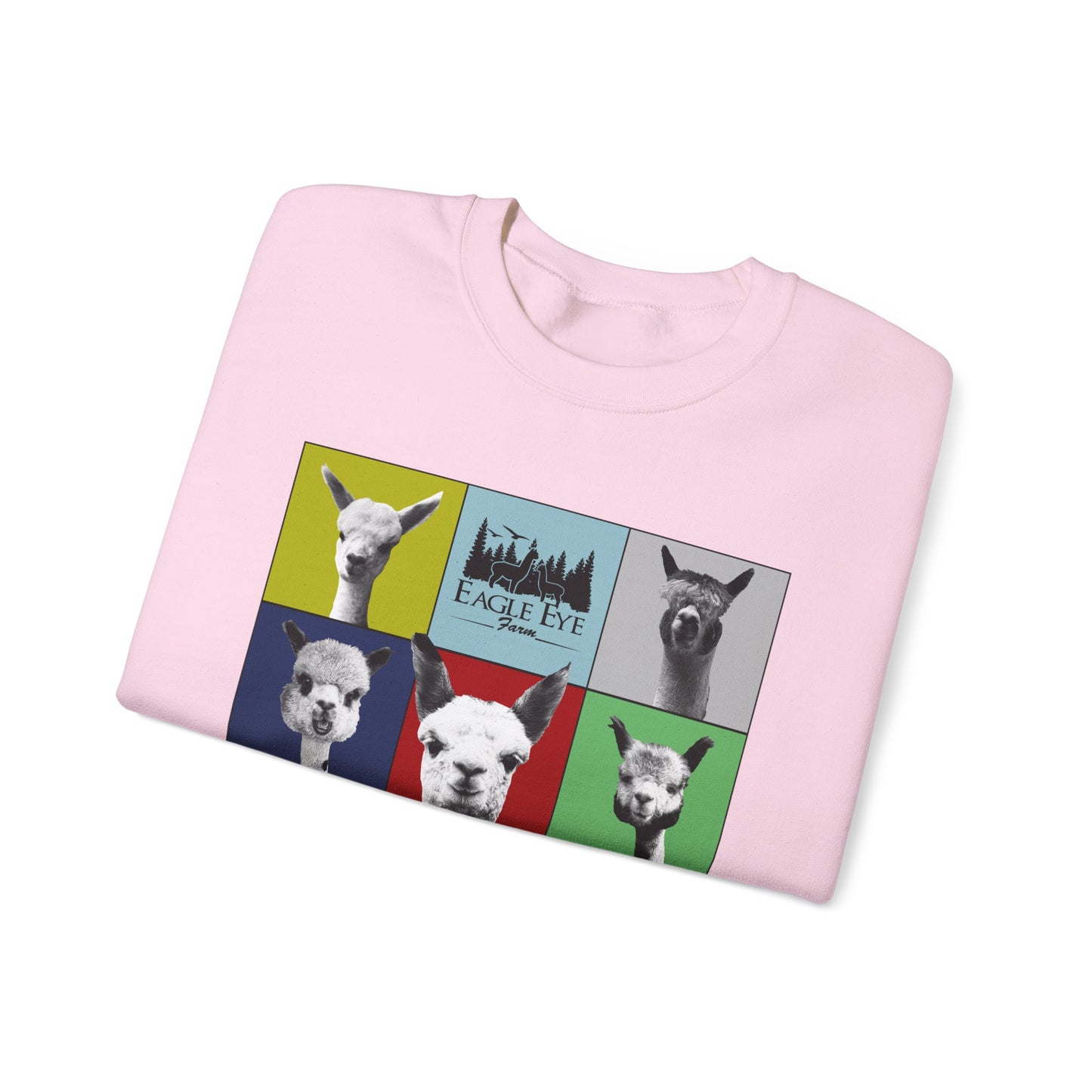 Colorful Crewneck Sweatshirt