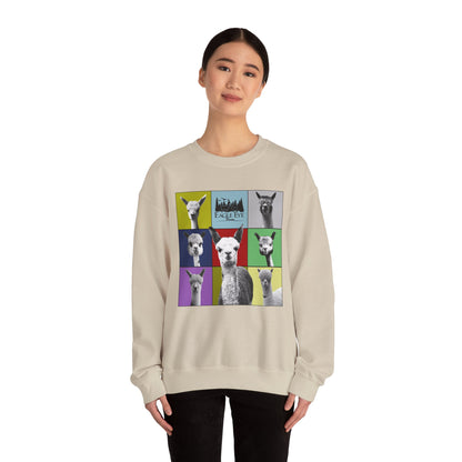 Colorful Crewneck Sweatshirt