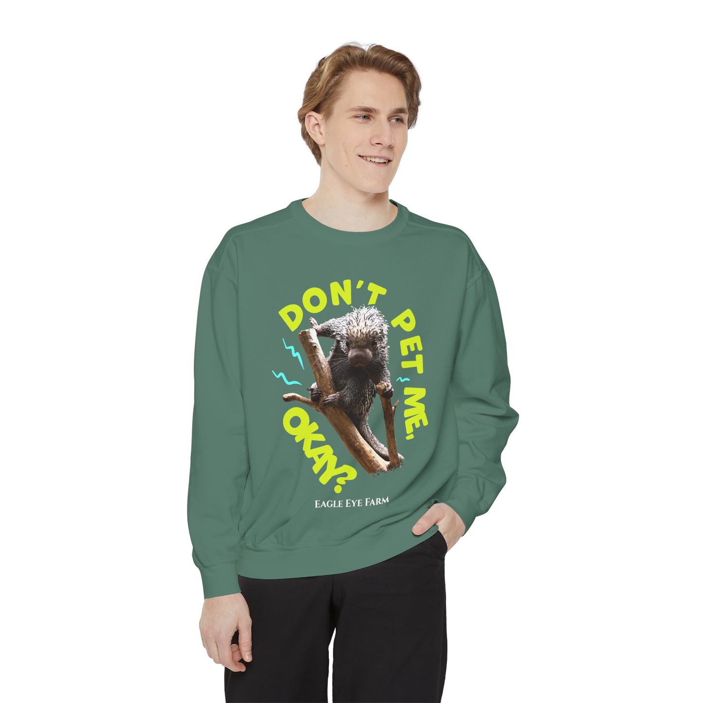 Don't Pet Me  Sweatshirt