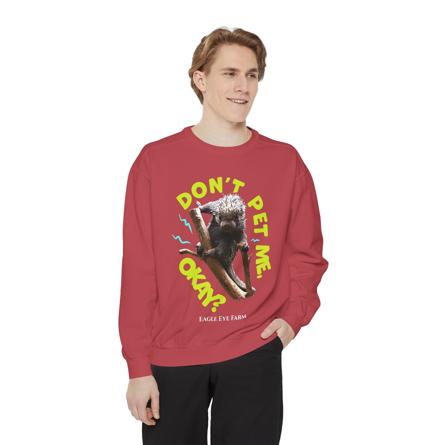 Don't Pet Me  Sweatshirt