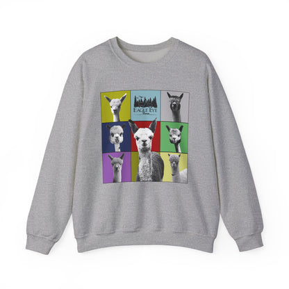 Colorful Crewneck Sweatshirt