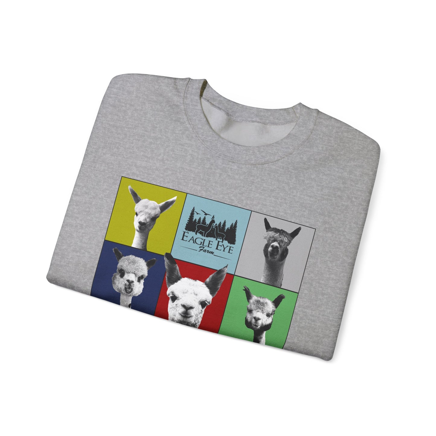 Colorful Crewneck Sweatshirt