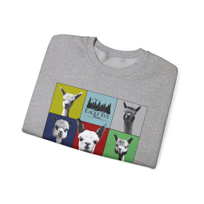 Colorful Crewneck Sweatshirt