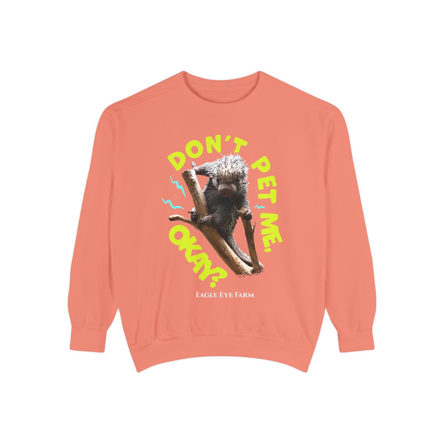 Don't Pet Me  Sweatshirt