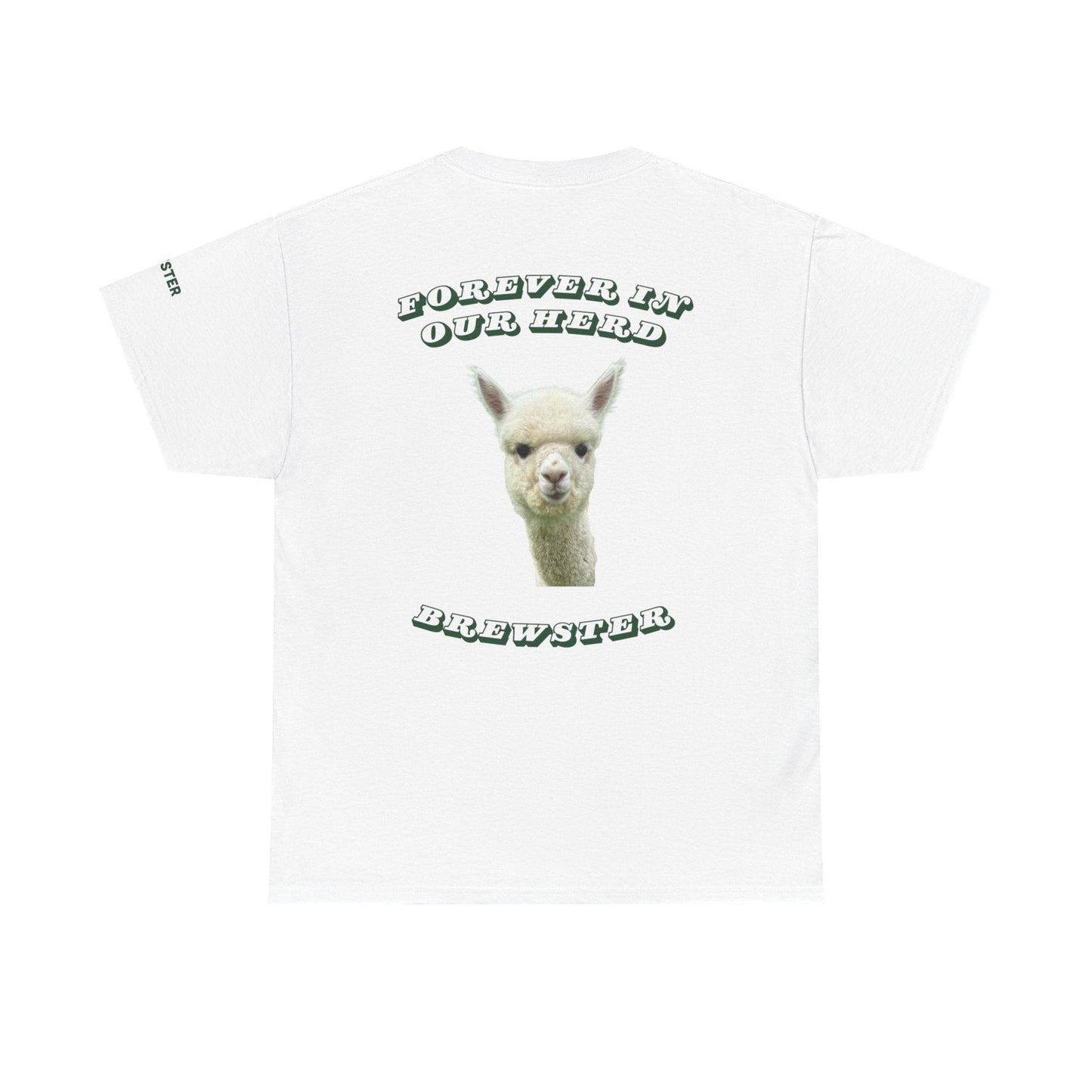 Brewster Memorial Bundle (White T-Shirt)