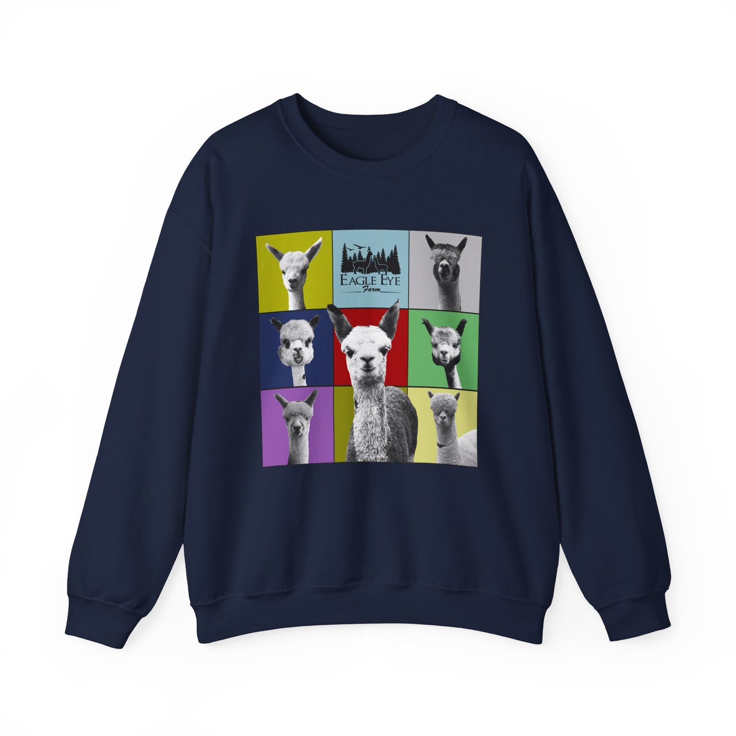 Colorful Crewneck Sweatshirt