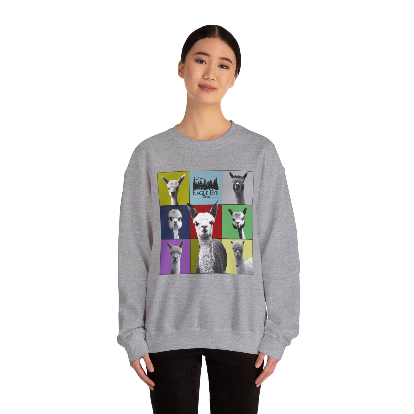 Colorful Crewneck Sweatshirt