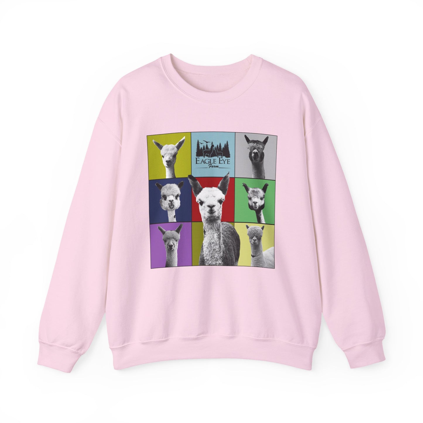 Colorful Crewneck Sweatshirt