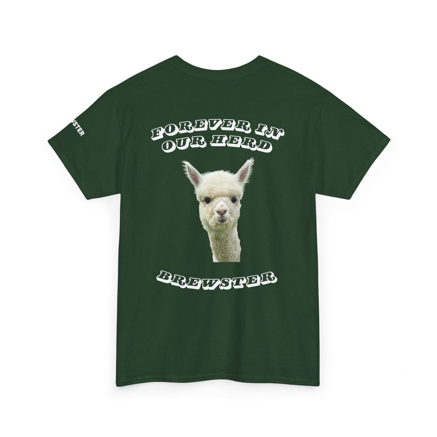 Brewster Memorial Bundle (Green T-shirt)
