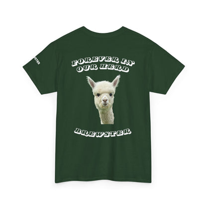 Brewster Memorial Bundle (Green T-shirt)